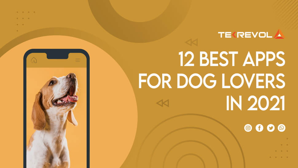 12 Best Apps for Dog Lovers In 2022