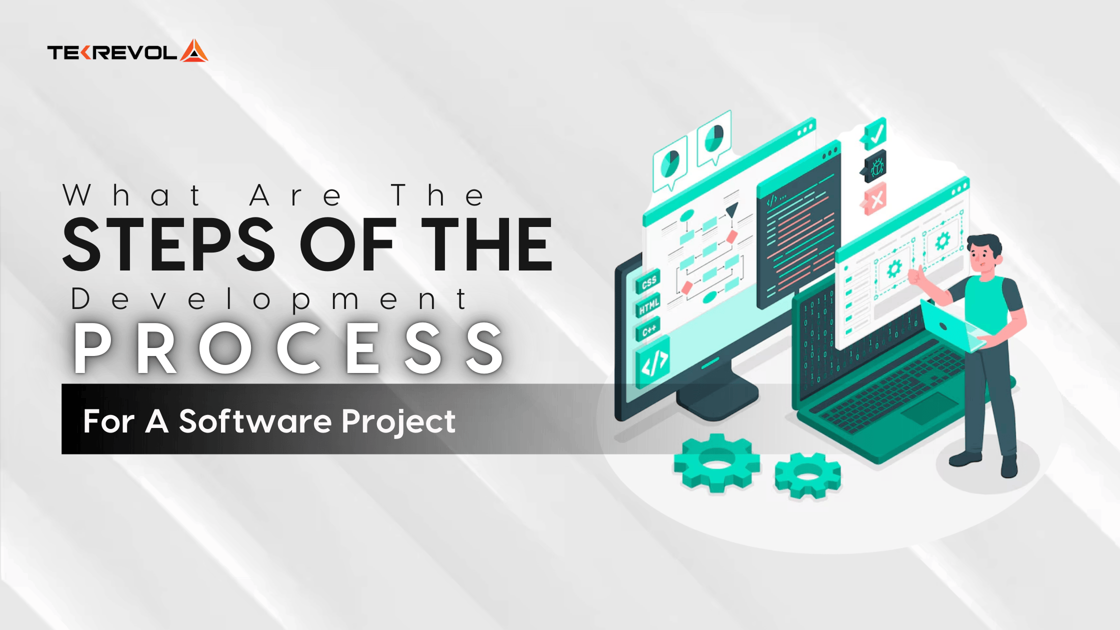 What Are The Steps Of Development Process For Software Project?